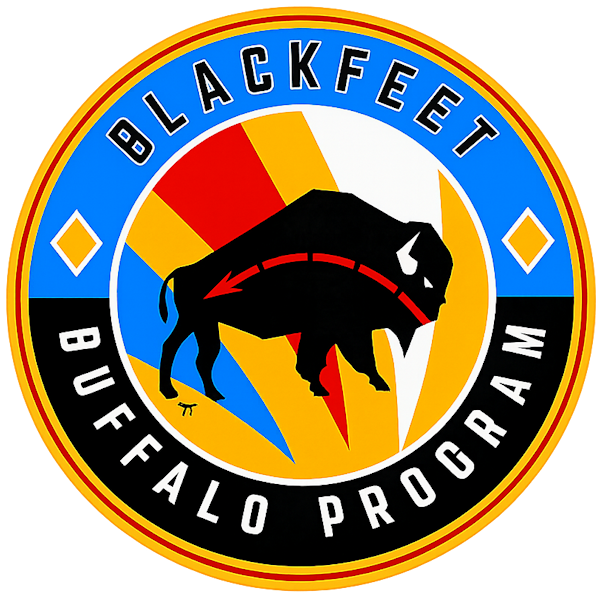Blackfeet Buffalo Program Logo